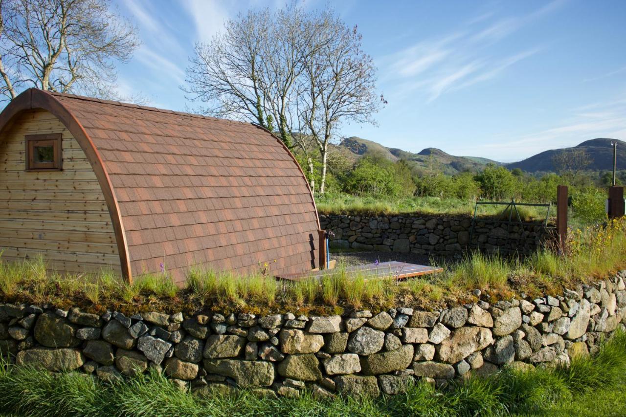 Bluebell Lane Glamping Hotel Newry Exterior foto